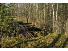 DSCF2620.jpg