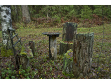 DSCF2630.jpg