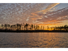 DSCF2749.jpg