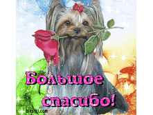 1,5.gif