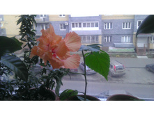 02.11.2013 9:42:26