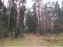 DSCN3860.JPG