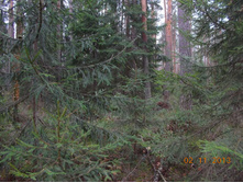 DSCN3864.JPG