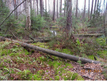 DSCN3868.JPG