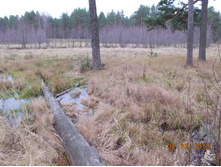 DSCN3879.JPG