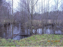 DSCN3883.JPG