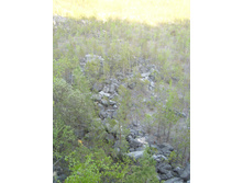 13.05.2010 9:54:28