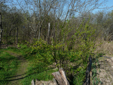 P1170474.JPG