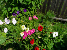 P1170545.JPG