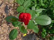 P1170546.JPG