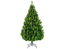 73155 ��� ��������� 185��, �������, D=1,04�, 815 ���., Triumph Tree, ��.1 3291,51�.jpg