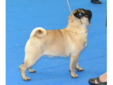 DSC_046400.jpg