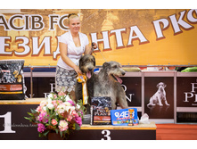 IMG_8965.jpg