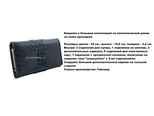 kk-100.jpg