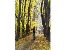 23.10.2007 11:51:47