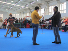 1-IMG_6280.JPG
