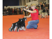1-IMG_6369.JPG
