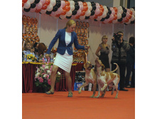 1-IMG_6371.JPG