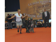 1-IMG_6372.JPG