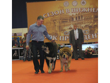 1-IMG_6374.JPG