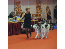 1-IMG_6376.JPG