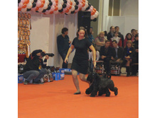 1-IMG_6377.JPG