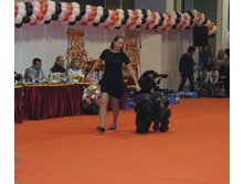 1-IMG_6378.JPG