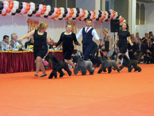 1-IMG_6384.JPG