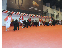 1-IMG_6385.JPG