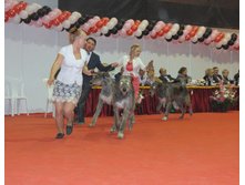 1-IMG_6386.JPG