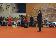 1-IMG_6391.JPG