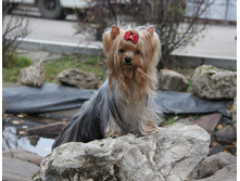 1-IMG_6356.JPG