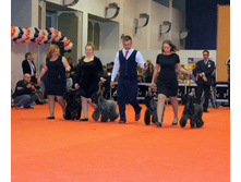 1-IMG_6404.JPG