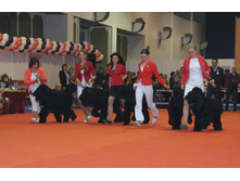 1-IMG_6406.JPG