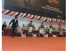 1-IMG_6413.JPG
