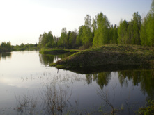 13.05.2010 15:01:32