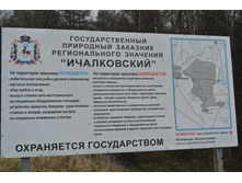 DSC_1439.JPG