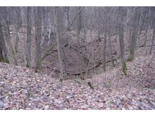 DSC_1469.JPG