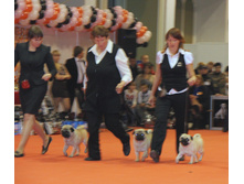1-IMG_6417.JPG