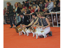 1-IMG_6421.JPG