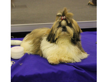 1-IMG_6459.JPG