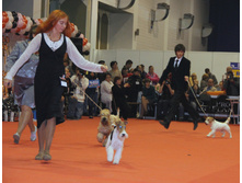 1-IMG_6466.JPG