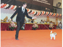 1-IMG_6467.JPG