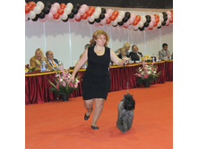 1-IMG_6479.JPG