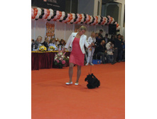 1-IMG_6481.JPG