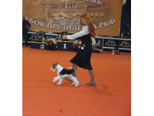 1-IMG_6485.JPG