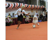 1-IMG_6489.JPG