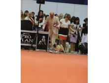 1-IMG_6495.JPG