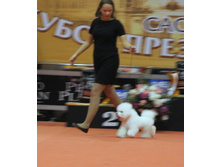 1-IMG_6500.JPG