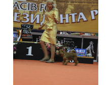 1-IMG_6502.JPG